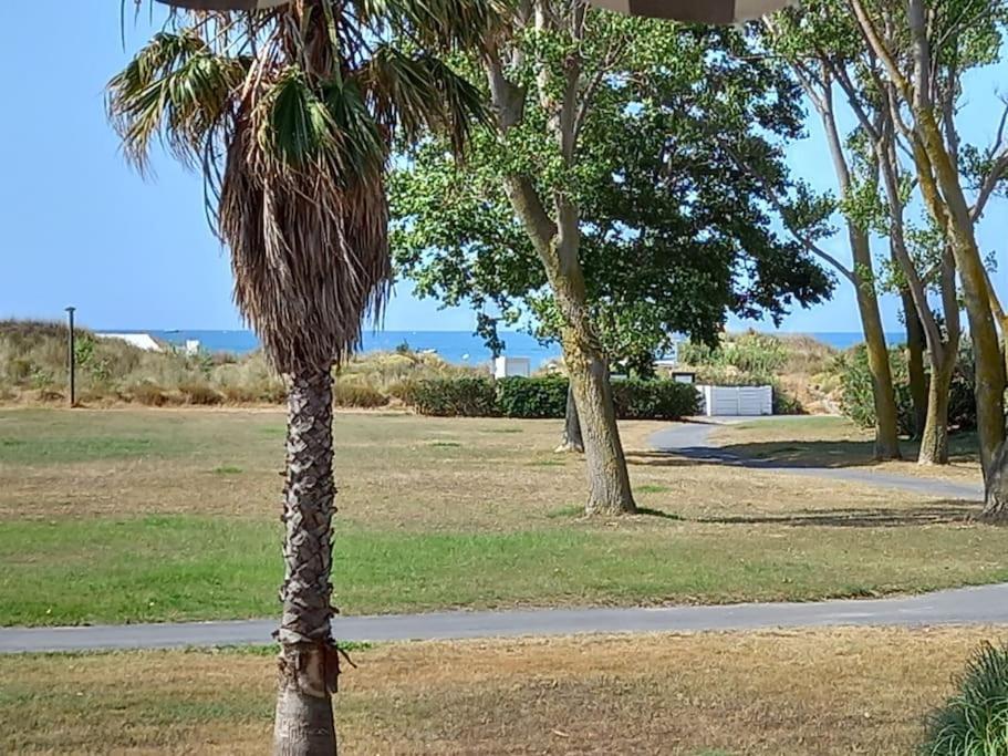 Amouvera C14, T2 Vue Mer, Piscine, Clim, Parking Agde Εξωτερικό φωτογραφία